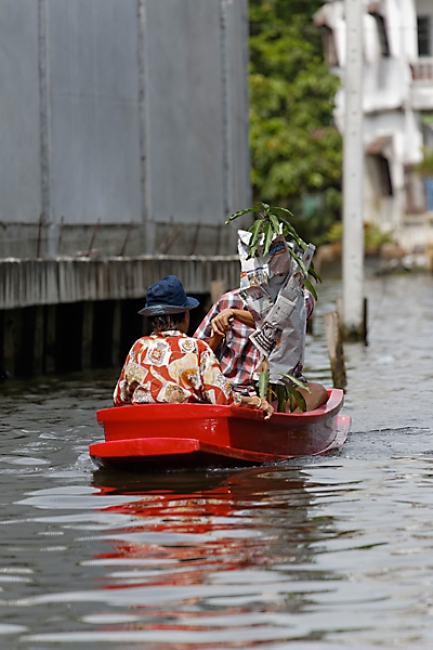 Talin chan-NOV13-159